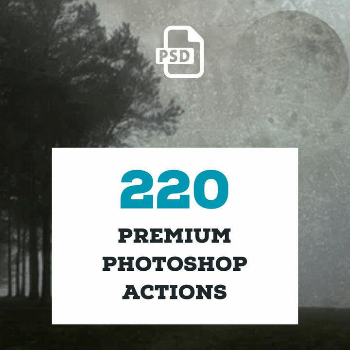 
									220 Premium Photoshop Actions