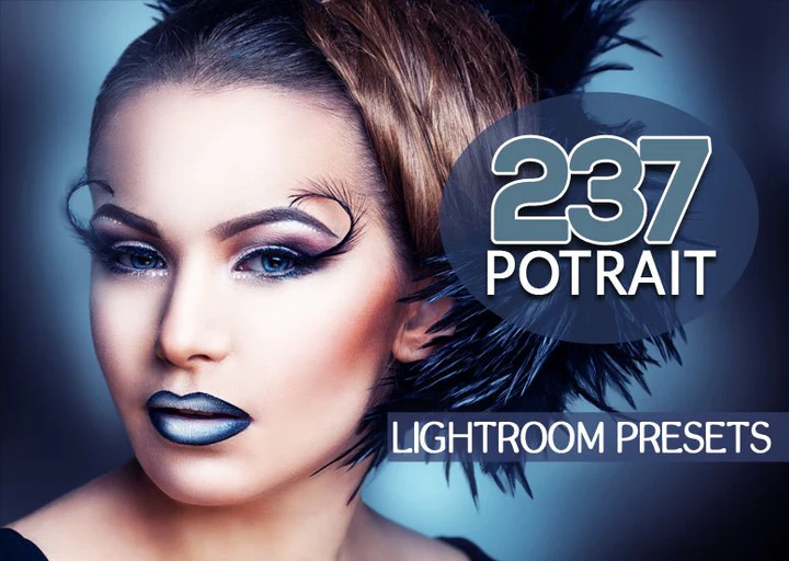 
									237 Premium Potrait Preset