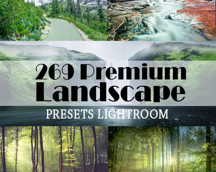 
									269 Premium Landscape Presets