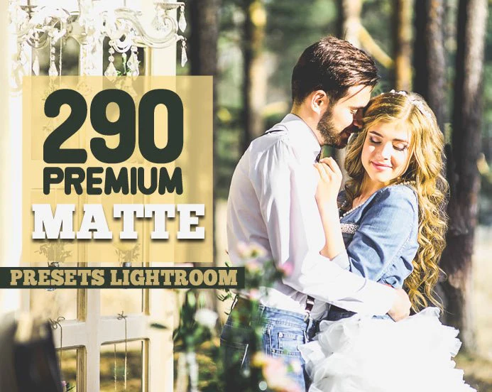 
									290 Premium Matte Preset