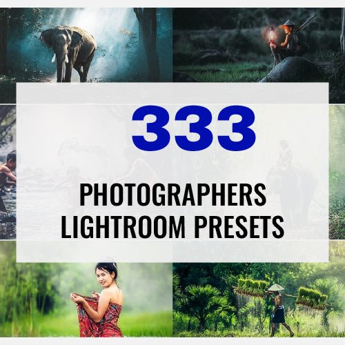 
									333 Photographers Collection