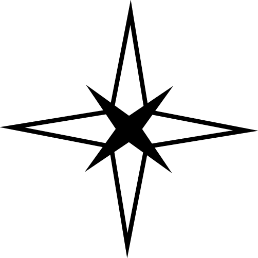 
									Elegant Eight-Point Star SVG