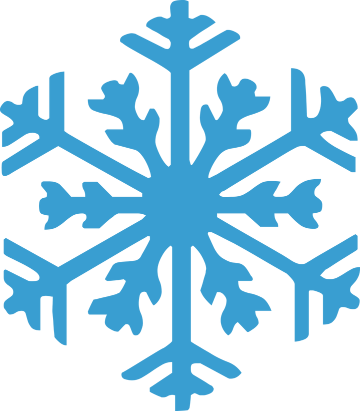 
									Snowflake Monogram SVG 13