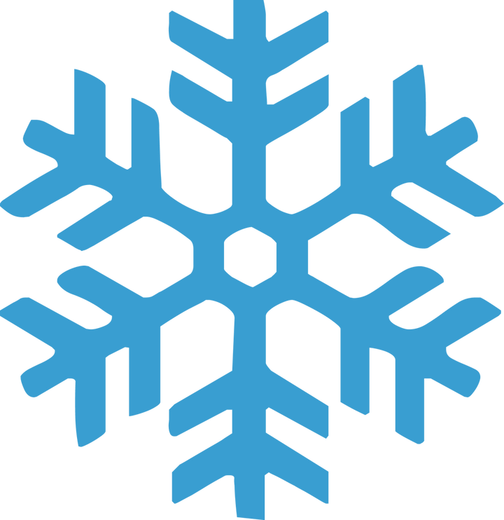 
									Snowflake Monogram SVG 14