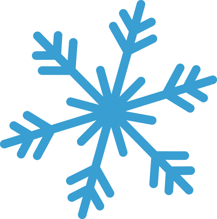 
									Snowflake Monogram SVG 16