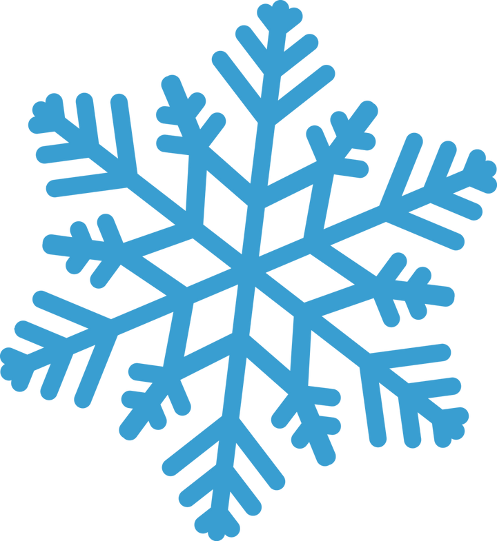 
									Snowflake Monogram SVG 17