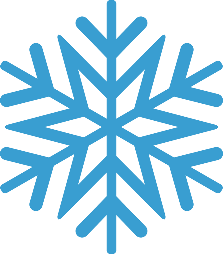 
									Snowflake Monogram SVG 18